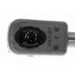 VAICO V40-0621 - Vérin, capot-moteur