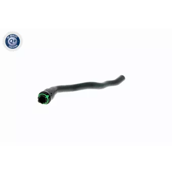 Durite de radiateur VAICO OEM 6818567