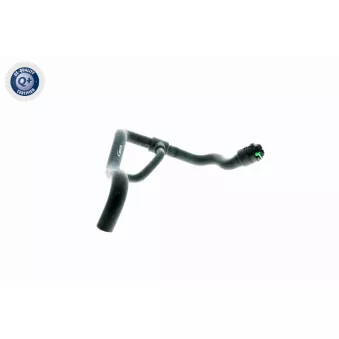 VAICO V40-1773 - Durite de radiateur