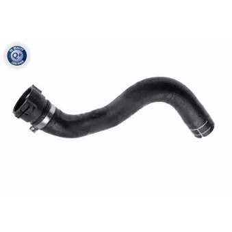 Durite de radiateur VAICO OEM 6818559