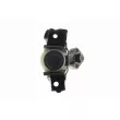VAICO V42-0560 - Support moteur avant droit