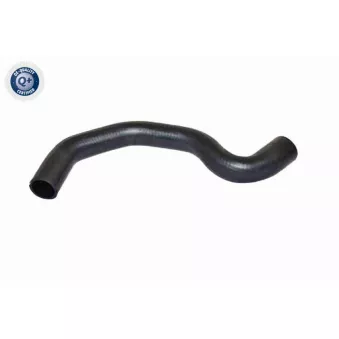 Durite de radiateur VAICO V42-1026