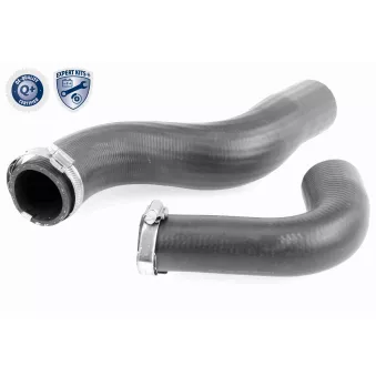 Gaine de suralimentation VAICO OEM 8200534296