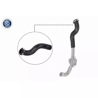 Gaine de suralimentation VAICO OEM 8200534296