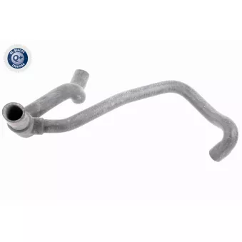 Durite de radiateur VAICO OEM 7700801055