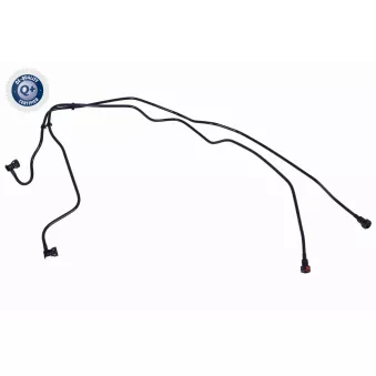 Tuyauterie de carburant VAICO OEM 7700113963