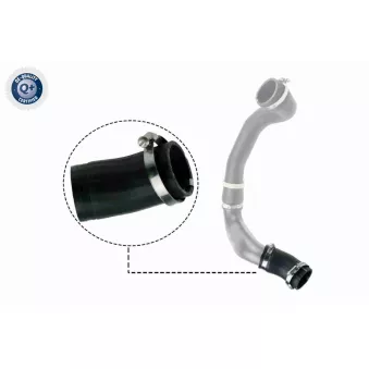 Gaine de suralimentation VAICO OEM LR002589