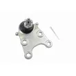 VAICO V56-0002 - Rotule de suspension