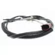 VEMO V10-72-0039 - Palpeur, température des gaz