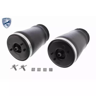 Ressort pneumatique, châssis VEMO OEM 1095082