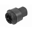 VEMO V22-50-0002 - Ressort pneumatique, châssis