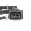 VEMO V24-72-0019 - Capteur d'angle, vilebrequin