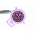 VEMO V25-76-0036 - Sonde lambda