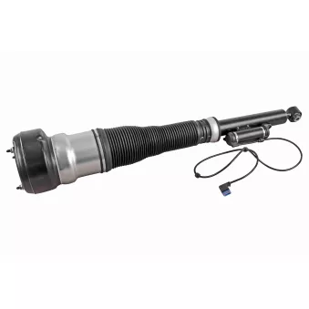 Armortisseur pneumatique arrière droit VEMO OEM 2213205613