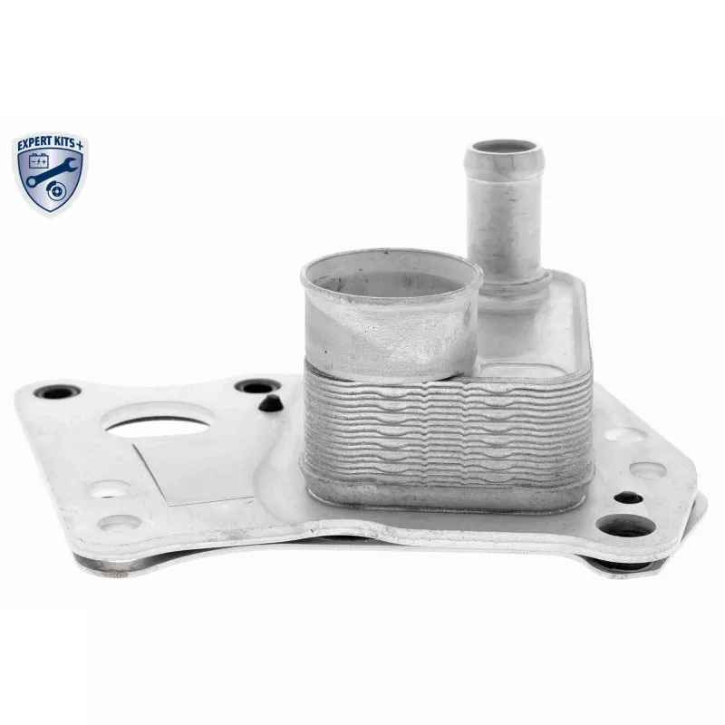 Radiateur d'huile VEMO V30-60-0008 - Visuel 1