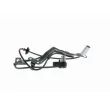 VEMO V32-72-0004 - Capteur, vitesse de roue avant gauche