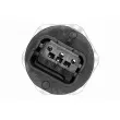 VEMO V42-72-0073 - Capteur, pression de carburant
