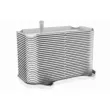 VEMO V45-60-0002 - Radiateur d'huile