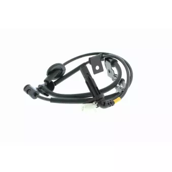 Capteur, vitesse de roue arrière droit VEMO OEM 956802E310