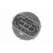 VEMO V52-72-0239 - Capteur, pression de carburant
