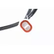 VEMO V70-72-0048 - Capteur, vitesse de roue avant droit