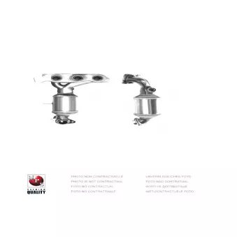NPS D431O04 - Catalyseur