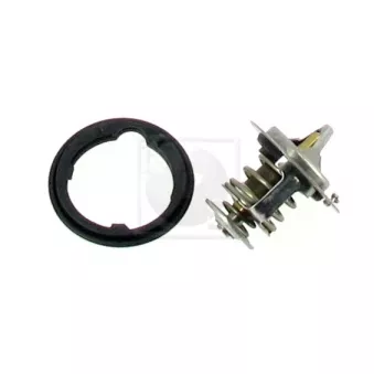 NPS H153A09 - Thermostat d'eau