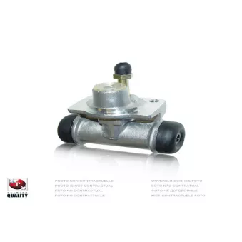 Cylindre de roue arrière gauche NPS [H323I49]