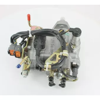 Pompe à injection NPS [M810A02]