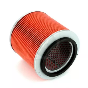 Filtre à air NPS [N132N16]