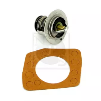 NPS N153N02 - Thermostat d'eau