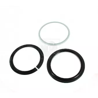 Kit de réparation, pivot NPS [N472N02A]