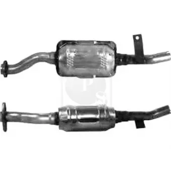 Catalyseur NPS [S431I21]