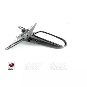 Rétroviseur extérieur NPS [T770A12]