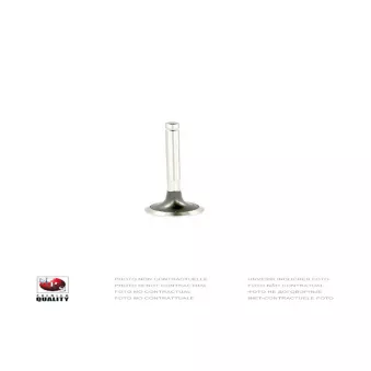 NPS T921A21 - Soupape d'émission