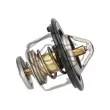 Metalcaucho 30984 - Thermostat d'eau