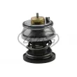 Metalcaucho 31319 - Thermostat d'eau