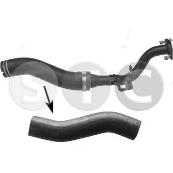 STC T479352 - Durite de radiateur