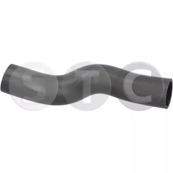 STC T494937 - Durite de radiateur
