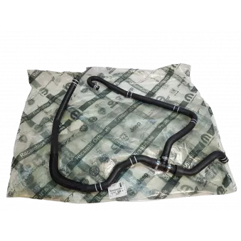 Tuyau De Radiateur OE OEM 1607245480 Tuyau De Radiateur OE OEM 1607245480