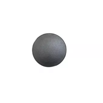 Bonnette, projecteur principal OE OEM 6554KX