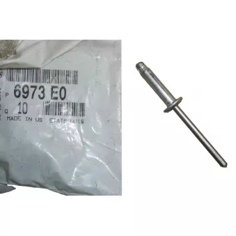 Clip, enjoliveur OE OEM 6973E0