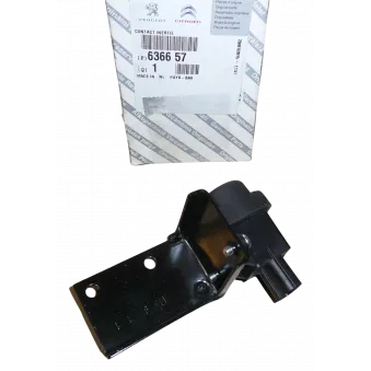 Interrupteur de sécurité, pompe à carburant OE OEM 1314621080 Interrupteur de sécurité, pompe à carburant OE OEM 1314621080