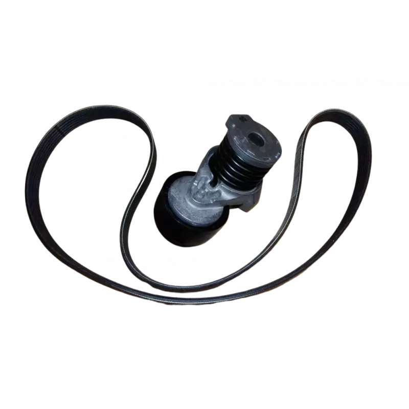 Jeu de courroies trapézoïdales à nervures OE 117203804R - Visuel 2