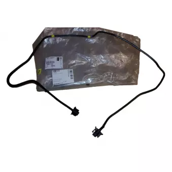 OE 1323GV - Durite de radiateur