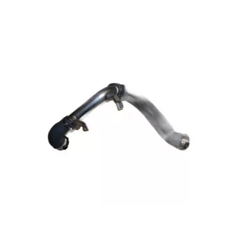 Tuyau D’air OE OEM 144606343R