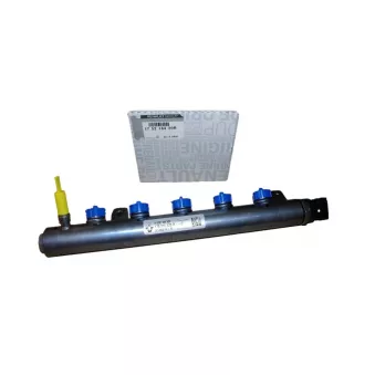 Rampe D'injection OE 175216420R