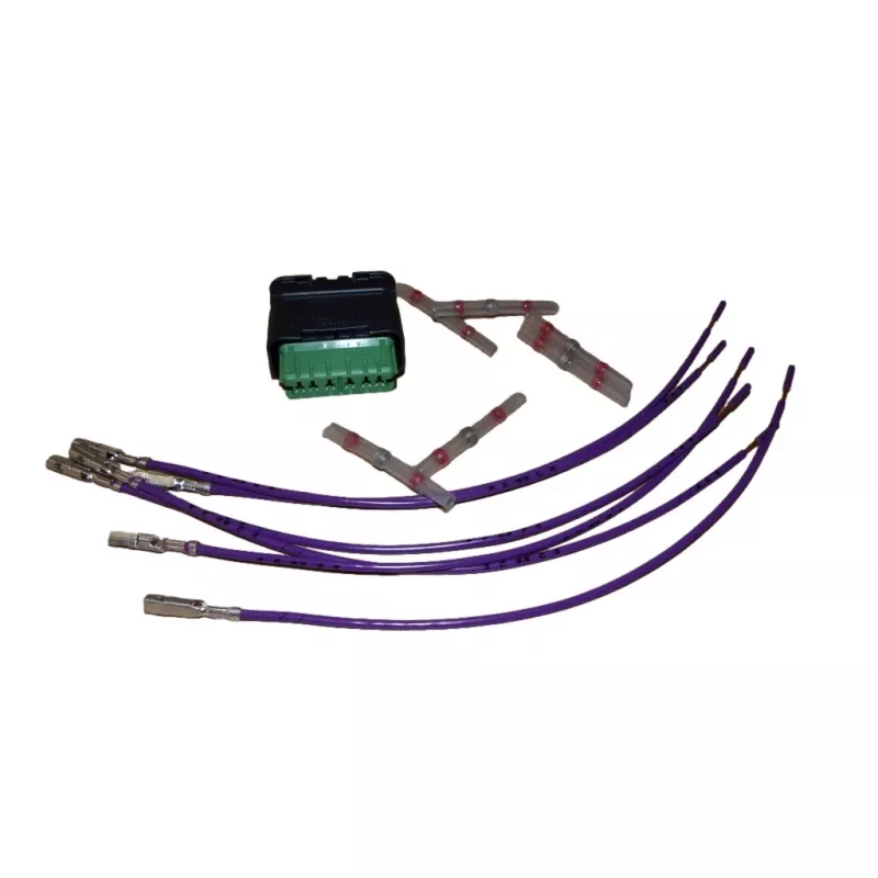 Fiche pour faisceau OE 1617550580 - Visuel 1