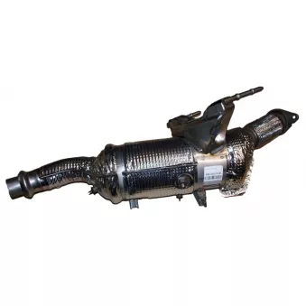 Filtre A Particules Fap OE OEM 200101038R
