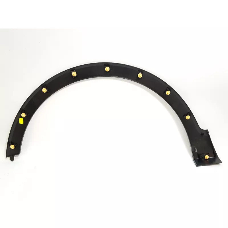 Baguette et bande protectrice, aile avant droit OE 638120719R - Visuel 2